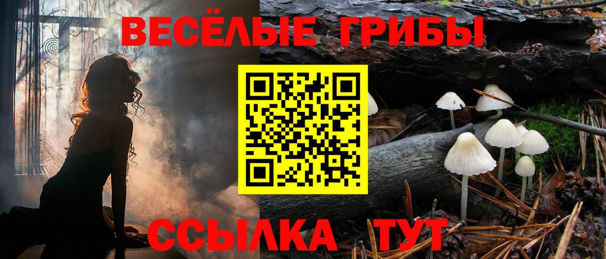 сколько стоит  Галлюциногенные грибы Cubensis  Вход с VPN  Псилоцибиновые грибы Psilocybine cubensis  Павловский Посад 