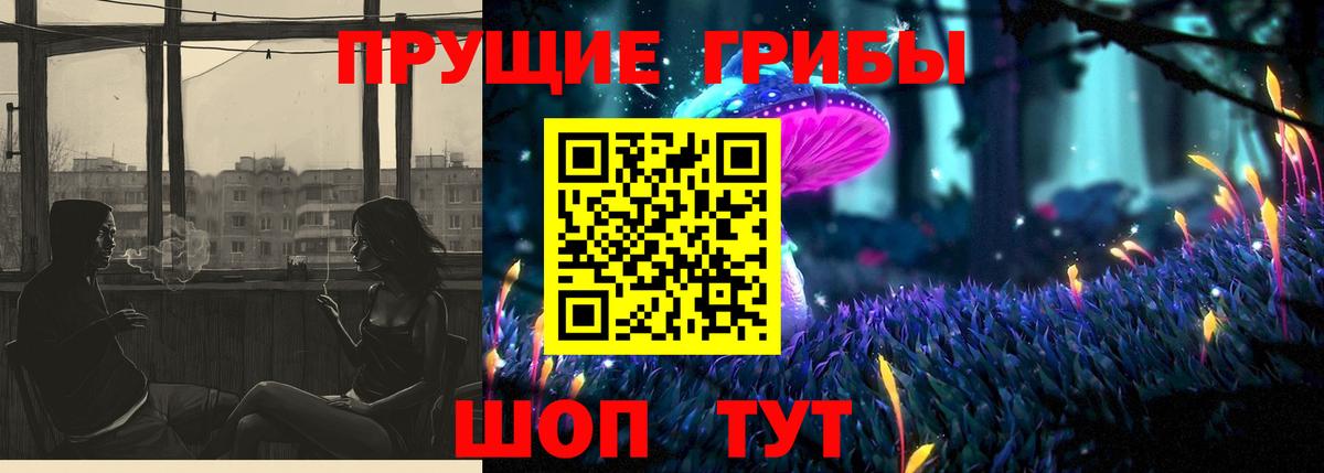 Псилоцибиновые грибы Psilocybe Павловский Посад